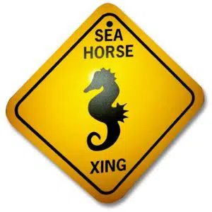 Seahorse X-ing sign