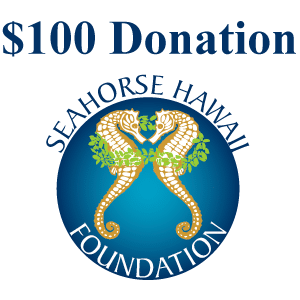 $100 Seahorse Hawaii Donation