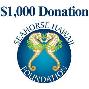 $1,000 Seahorse Hawaii Donation