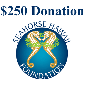 $250 Seahorse Hawaii Donation