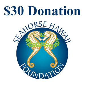 $30 Seahorse Hawaii Donation