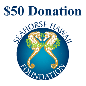 $50 Seahorse Hawaii Donation