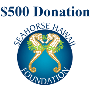 $500 Seahorse Hawaii Donation