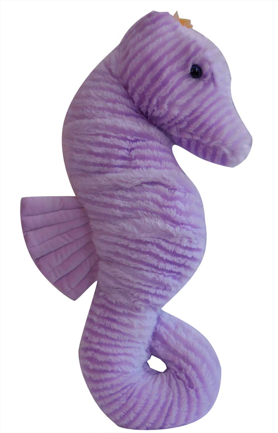 purple seahorse species