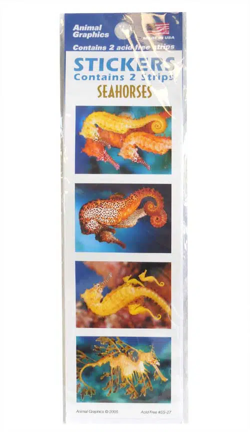 Seahorse Stickers