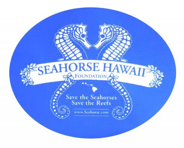 Surfboard Sticker - Seahorse Hawaii Foundation