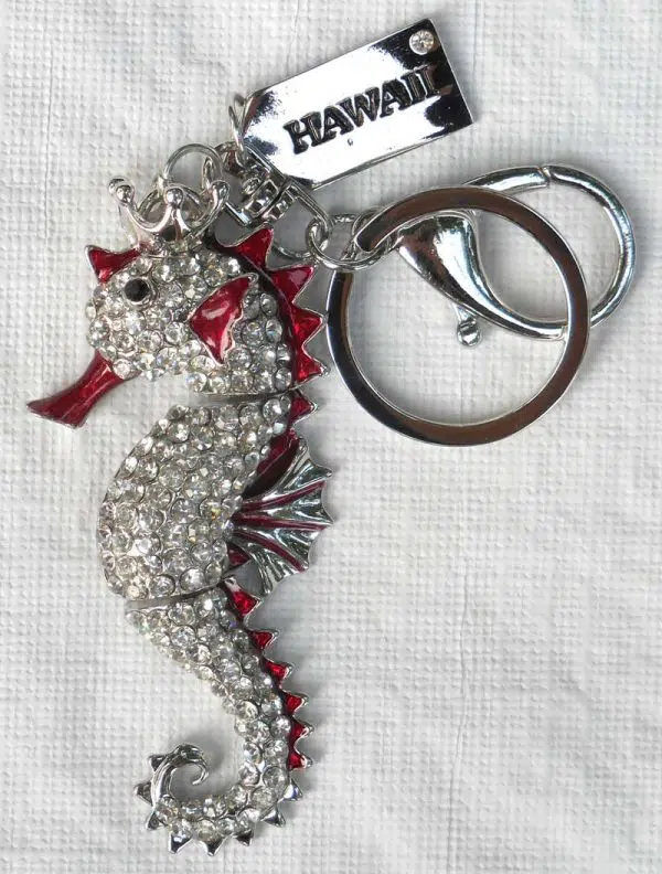 Silvery Seahorse Key Chain with Red Teal Accent