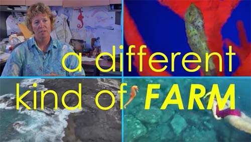 “A Different Kind of Farm” Video | Ocean Rider