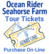 Ocean Rider Tour Tickets