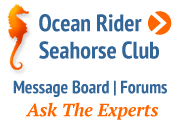 Seahorse Club Message Boards