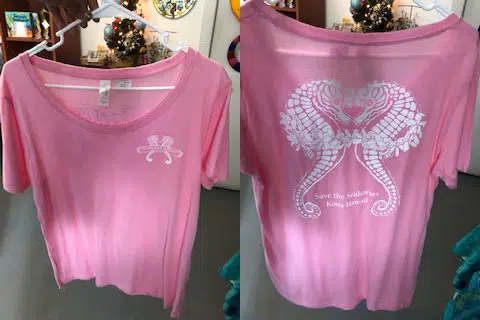 Womens Scoop Neck Tshirt - Pink