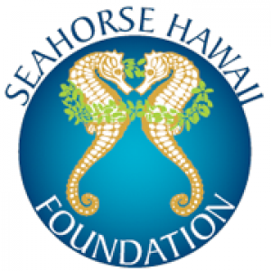 Seahorse Hawaii Donations