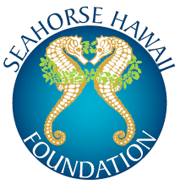 Seahorse Farms & Tours | Things to Do Kona Hawaii | Ocean Rider