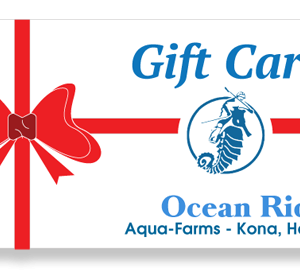 Ocean Rider Gift Card