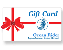 Ocean Rider Gift Cards